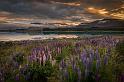 077 Lake Tekapo